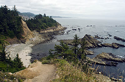 OR: South Coast Region, Coos County, Coos Bay Area, Cape Arago Area, Cape Arago State Park, Cliff view [Ask for #271.156.]