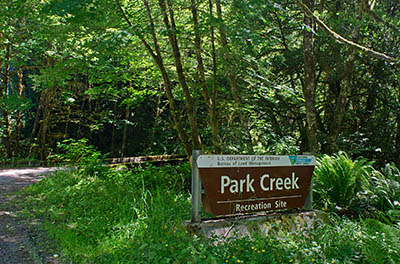 OR: Coos County, Coast Range, Coquille River Mountains, Park Creek Recreation Area (BLM), Park Creek Recreation Site, a picnic and camping area maintained by the BLM along Middle Creek Road [Ask for #274.260.]
