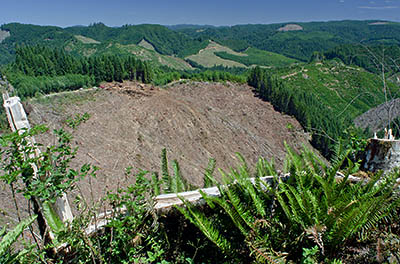 OR: South Coast Region, Coos County, Coast Range, Coquille River Mountains, Burnt Mountain Area, Burnt Mountain, View off a forestry road (Burnt Mountain Tie Road) towards an active clearcut on the opposite valley slope, showing foresters at work [Ask for #274.288.]