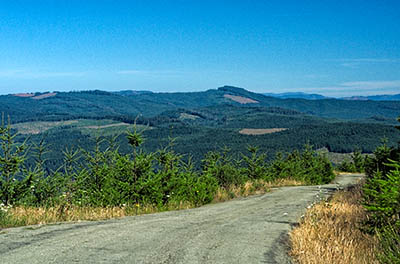 OR: Coos County, Coast Range, Coquille River Mountains, Signal Mountain Road, Wide views from the road as it climbs the western slope of Signal Mountain (aka Kenyon Mountain) above Camas Valley in a clearcut [Ask for #274.567.]
