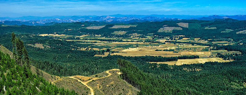 OR: South Coast Region, Coos County, Coast Range, Coquille River Mountains, Weaver Road Area [BLM], Signal Mountain Road, View over Camas Valley from a cliff top just off the road. [Ask for #274.574.]