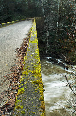 OR: South Coast Region, Coos County, Coast Range, Old Coos Bay Wagon Road, Sitkum Community, The East Fork Coquille River in flood underneath the Weaver Road Bridge, a BLM access road off the Old Wagon Road. [Ask for #276.269.]