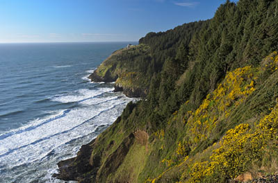 OR: South Coast Region, Lane County, Pacific Coast, Cape Perpetua Area, Sea Lion Cliffs, Cliff view. The Sea Lion Caves attraction is visible in the distance. [Ask for #276.566.]
