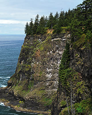 OR: North Coast Region, Tillamook County, Pacific Coast, Cape Meares, Cliffs of Cape Meares [Ask for #278.281.]
