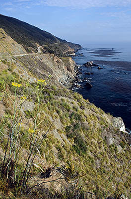 CA: South Coast Region, Monterey County, Los Padres National Forest, Big Sur, Big Creek Area, Cliff view from along the Pacific Coast Highway [Ask for #271.070.]