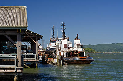 OR: South Coast Region, Coos County, Coos Bay Area, City of Coos Bay, Waterfront Boardwalk, Tugboats moor by maritime displays [Ask for #271.116.]