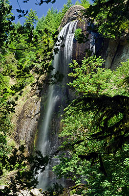 OR: South Coast Region, Coos County, Coos Bay Area, Coos River Mountains, Gold and Silver Falls State Park, Silver Falls, viewed through forest [Ask for #271.133.]