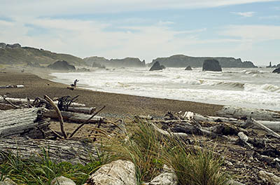 OR: South Coast Region, Coos County, Bandon Area, Town of Bandon, Coquille River Mouth, South Jetty, Large hoodoos emerge from the beach and ocean at South Jetty County Park [Ask for #271.149.]