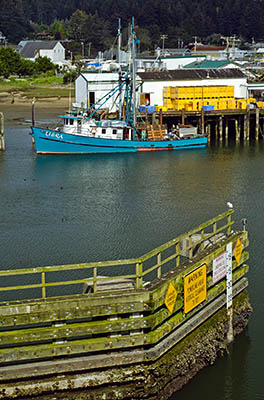 OR: Coos County, Coos Bay Area, Charleston Area, Charleston Harbor, View [Ask for #274.007.]