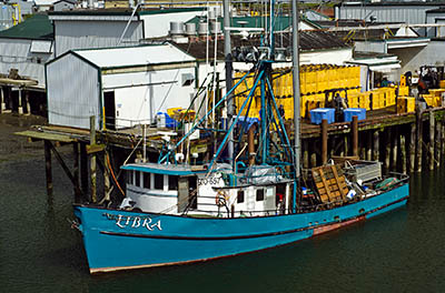 OR: Coos County, Coos Bay Area, Charleston Area, Charleston Harbor, View [Ask for #274.009.]