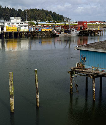 OR: Coos County, Coos Bay Area, Charleston Area, Charleston Harbor, View [Ask for #274.010.]