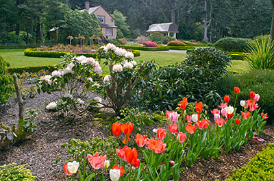 OR: Coos County, Coos Bay Area, Cape Arago Parks, Shore Acres Garden, Garden view [Ask for #274.016.]