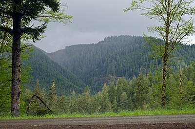OR: Coos County, Coast Range, Coquille River Mountains, Moon Creek Road, View from paved road that give access to these actively logged BLM lands. [Ask for #274.087.]