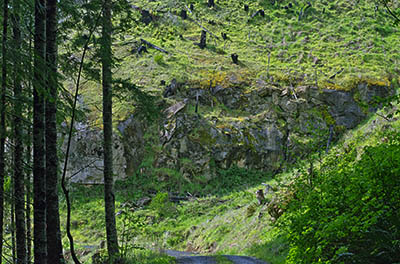 OR: Coos County, Coast Range, Coquille River Mountains, The Intersection, Paved BLM road gives public access to these actively logged mountains; here a graveled side trail heads off towards a clear cut on a cliff [Ask for #274.117.]