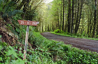 OR: South Coast Region, Coos County, Coquille Area, Coquille River Mountains, Burnt Mountain Area, Paved BLM road ends at the North Fork Coos River in the Weyerhauser Millicoma Tree Farm (closed to the public). Terminus of the BLM road, with sign. [Ask for #274.123.]