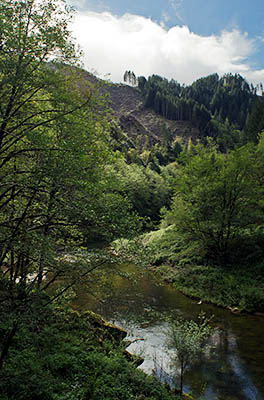 OR: South Coast Region, Coos County, Coast Range, Coquille River Mountains, Burnt Mountain Area, Paved BLM road ends at the North Fork Coos River in the Weyerhauser Millicoma Tree Farm (closed to the public). View of the river. [Ask for #274.124.]
