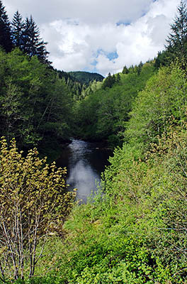 OR: South Coast Region, Coos County, Coast Range, Coquille River Mountains, Burnt Mountain Area [BLM], Burnt Mountain, Tioga Creek Road, Paved BLM road ends at the North Fork Coos River in the Weyerhauser Millicoma Tree Farm (closed to the public). View of the river. [Ask for #274.125.]