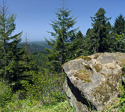 OR: South Coast Region, Coos County, Coast Range, Elliott State Forest, The Ridgetop Drive, FR 2000, Good gravel road gives access to this actively logged state forest; view east from Trail Butte towards the Pacific Ocean and Oregon Dunes Nat Rec Area [Ask for #274.154.]