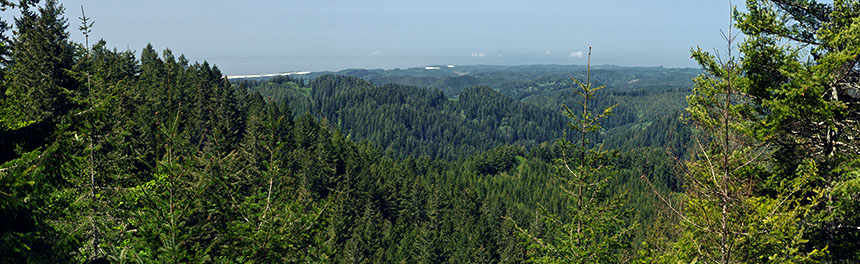 OR: South Coast Region, Coos County, Coastal Range, Elliot State Forest, Dean Mountain Area, Panoramic view towards Oregon Dunes NRA and the Pacific Ocean, from Dean Mountain Road at Trail Butte. [Ask for #274.158.]