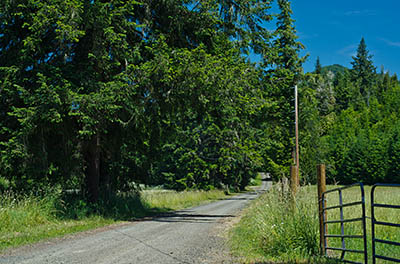 OR: South Coast Region, Coos County, Coast Range, Coos Bay Wagon Road, Dora Community, The Dora community along the Old Wagon Road; Miller Road leads off into the valley. [Ask for #274.209.]
