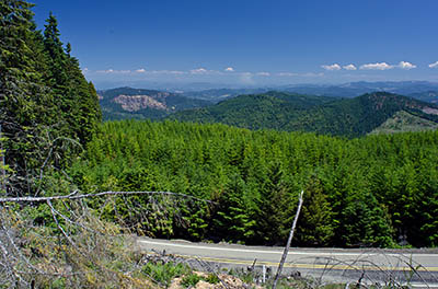 OR: South Coast Region, Douglas County, Coast Range, Old Coos Bay Wagon Road, Coastal Divide, View from a clearcut atop the divide eastward towards Reston and the Umpqua Valley [Ask for #274.240.]