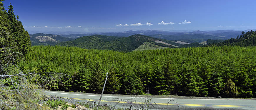 OR: South Coast Region, Douglas County, Coast Range, Old Coos Bay Wagon Road, Coastal Divide, Panoramic iew from a clearcut atop the divide eastward towards Reston and the Umpqua Valley [Ask for #274.241.]