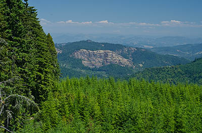 OR: South Coast Region, Douglas County, Coast Range, Old Coos Bay Wagon Road, Coastal Divide, View from a clearcut atop the divide eastward towards Reston and the Umpqua Valley, towards the red sandstone cliff known as Bushnell Rock [Ask for #274.242.]