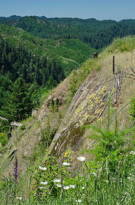 OR: Coos County, Coast Range, Coquille River Mountains, The Intersection, Cliffs at the head of Middle Creek, with views off a clearcut [Ask for #274.263.]