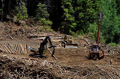 OR: Coos County, Coast Range, Coquille River Mountains, Burnt Mountain Tie Road, View off a forestry road (Burnt Mountain Tie Road) towards an active clearcut on the opposite valley slope, showing foresters at work [Ask for #274.290.]