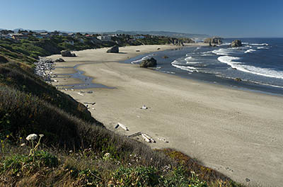 OR: South Coast Region, Coos County, Bandon Area, South Beaches, Coquille Point, View from grassy cliffs with wildflowers, over sand beach to a set of rock bound islands just offshore [Ask for #274.332.]