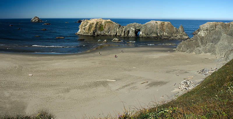 OR: South Coast Region, Coos County, Bandon Area, South Beaches, Coquille Point, View from grassy cliffs with wildflowers, over sand beach to Arch Rock, a set of rock bound islands just offshore that include a natural bridge, here visible [Ask for #274.337.]