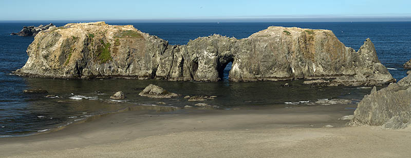 OR: South Coast Region, Coos County, Bandon Area, South Beaches, Coquille Point, View from grassy cliffs with wildflowers, over sand beach to Arch Rock, a set of rock bound islands just offshore that include a natural bridge, here visible [Ask for #274.345.]