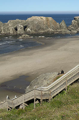 OR: South Coast Region, Coos County, Bandon Area, South Beaches, Coquille Point, Stairs lead down a grassy cliff to a sand beach spotted with large hoodoos including Arch Rock, a natural bridge [Ask for #274.352.]