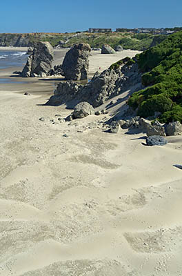 OR: South Coast Region, Coos County, Bandon Area, South Beaches, Face Rock State Wayside, Sheer rock cliffs with a wide sandy beach below, spotted with large hoodoos [Ask for #274.358.]