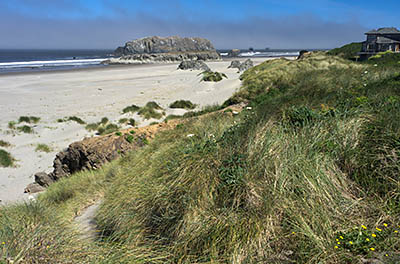 OR: South Coast Region, Coos County, Bandon Area, South Beaches, Bandon State Park, Devils Kitchen Wayside, Vista at the north end of Bandon State Park, where the cliffs meet  the dunes [Ask for #274.371.]
