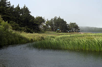 OR: South Coast Region, Curry County, North Coast, Cape Blanco Area, Flores Lake, View of the north end of the lake as fog rolls in [Ask for #274.374.]