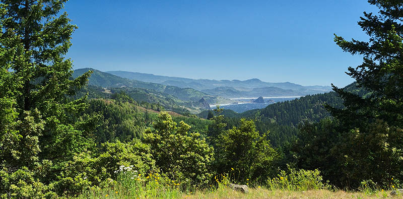 OR: South Coast Region, Curry County, North Coast, Humbug Mountain Area, China Mountain Road, This gravel backroad runs along mountain ridges, giving views toward the Pacific and its cliffs [Ask for #274.429.]