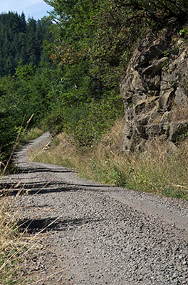 OR: South Coast Region, Coos County, Coast Range, Elliott State Forest, The Ridgetop Drive, FR 2000, Western mainline road runs along ridge tops through rock cuts [Ask for #274.473.]