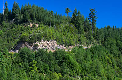 OR: South Coast Region, Coos County, Coast Range, Elliott State Forest, The Ridgetop Drive, FR 2000, View from a clearcut along the western mainline road, showing FR 2000 slabbing through a clearcut [Ask for #274.480.]