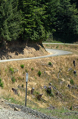 OR: South Coast Region, Coos County, Coast Range, Elliott State Forest, Outside Links, FR 1850, This side road descends the mountain to Loon Lake [Ask for #274.496.]