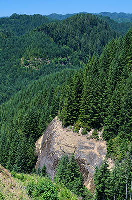 OR: South Coast Region, Douglas County, Coast Range, Elliott State Forest, Northeast Quadrant, Cougar Pass Area, Cliffs emerge from fir forests as viewed from Cougar Pass [Ask for #274.505.]