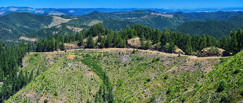 OR: South Coast Region, Douglas County, Coastal Range, Elliott State Forest, Northeast Quadrant, Cougar Pass Area, Wide views over clear cuts from FS 7000 (the northern mainline) at Cougar Pass [Ask for #274.513.]