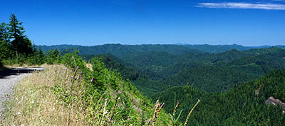 OR: South Coast Region, Douglas County, Coast Range, Elliott State Forest, The Ridgetop Drive, Cougar Pass Area, Wide views over clear cuts from FS 7000 (the northern mainline) at Cougar Pass [Ask for #274.518.]