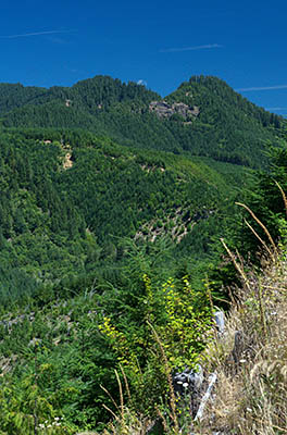 OR: Coos County, Coast Range, Coquille River Mountains, Burnt Mountain Road, View towards distant cliffs from Burnt Mountain Access Rd [Ask for #274.560.]