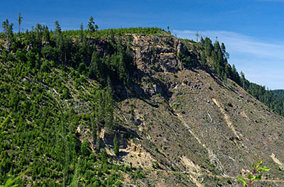 OR: Coos County, Coast Range, Coquille River Mountains, Signal Mountain Road, Cliffs atop a mountain that has been stripped by clearcuts, from the road [Ask for #274.565.]