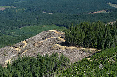 OR: Coos County, Coast Range, Coquille River Mountains, Signal Mountain Road, View over Camas Valley from a cliff top just off the road, showing clearcuts on Signal Mountain (Kenyon Mountain) [Ask for #274.575.]