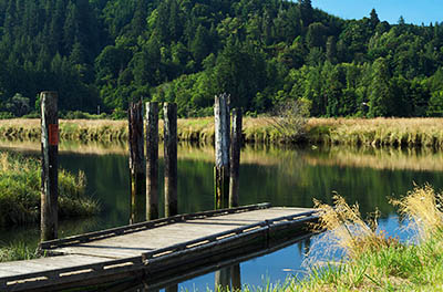 OR: South Coast Region, Coos County, Coast Range, Coos River Mountains, The Coos River, Doris Place Boat Ramp, on the Coos River Highway (SR 241) [Ask for #274.577.]