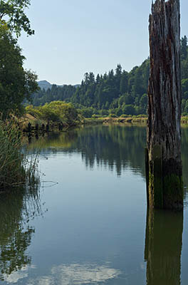 OR: South Coast Region, Coos County, Coast Range, Coos River Mountains, The Coos River, Doris Place Boat Ramp, on the Coos River Highway (SR 241) [Ask for #274.579.]