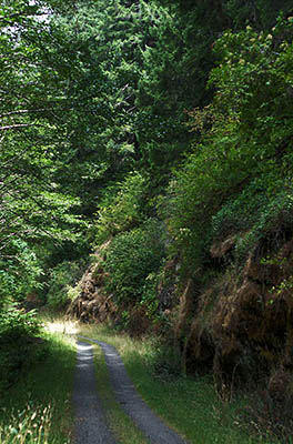 OR: South Coast Region, Coos County, Coast Range, Elliott State Forest, Millicoma River Area, FR 8000, This low-quality gravel track traverses a rock cut [Ask for #274.599.]