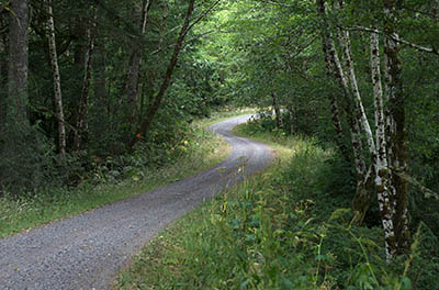 OR: South Coast Region, Coos County, Coast Range, Elliott State Forest, Northwestern Quadrant, FR 4000, This logging road links the state forest with the town of Lakeside [Ask for #274.619.]